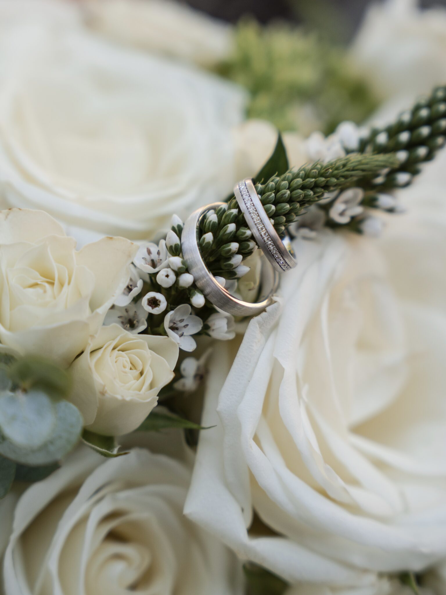 LenaPreschePhotography-246